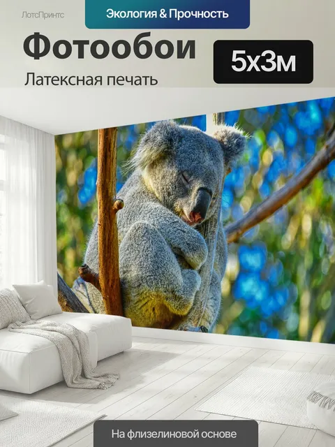 500 × 300 см · Латексная печать