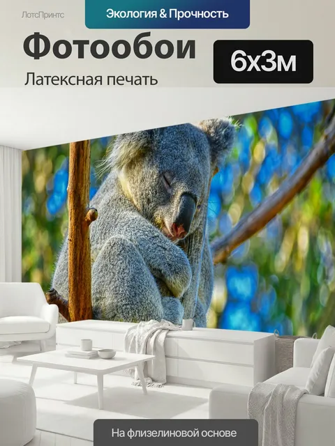600 × 300 см · Латексная печать