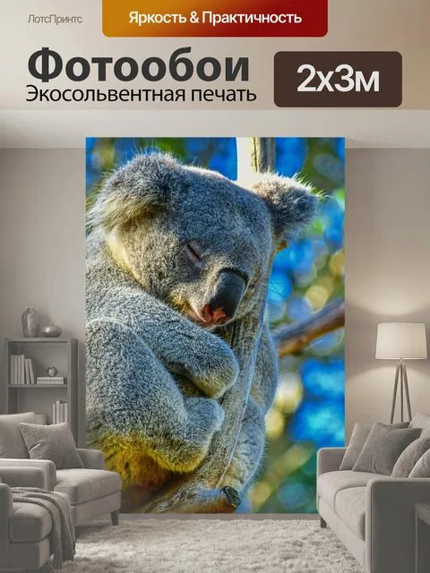 200 × 300 см · Экосольвентная печать