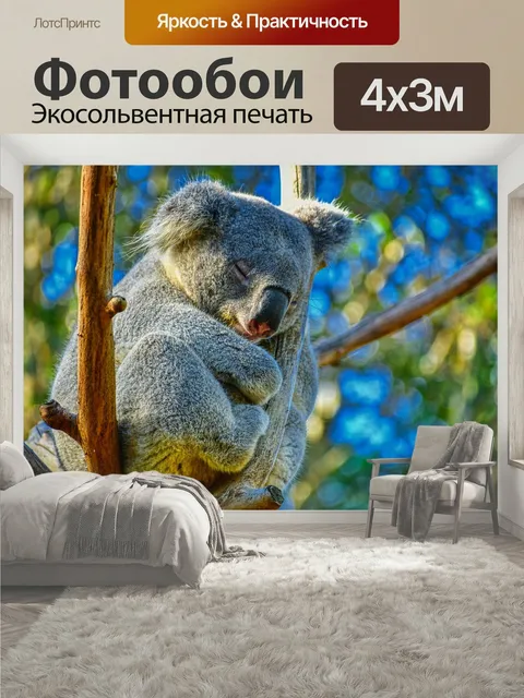 400 × 300 см · Экосольвентная печать