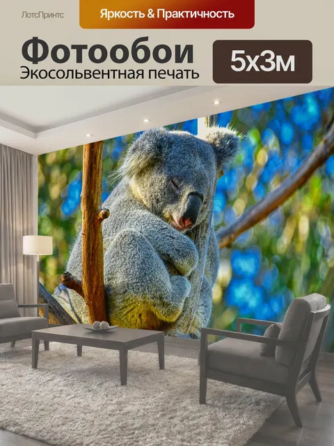 500 × 300 см · Экосольвентная печать