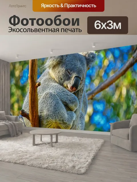 600 × 300 см · Экосольвентная печать