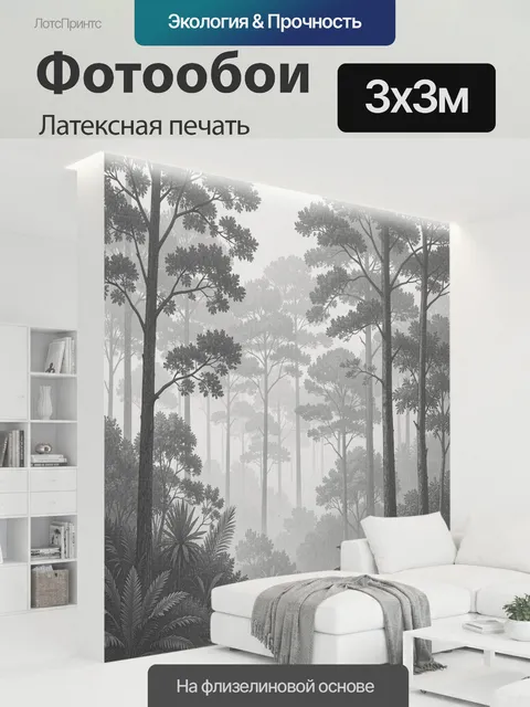 300 × 300 см · Латексная печать