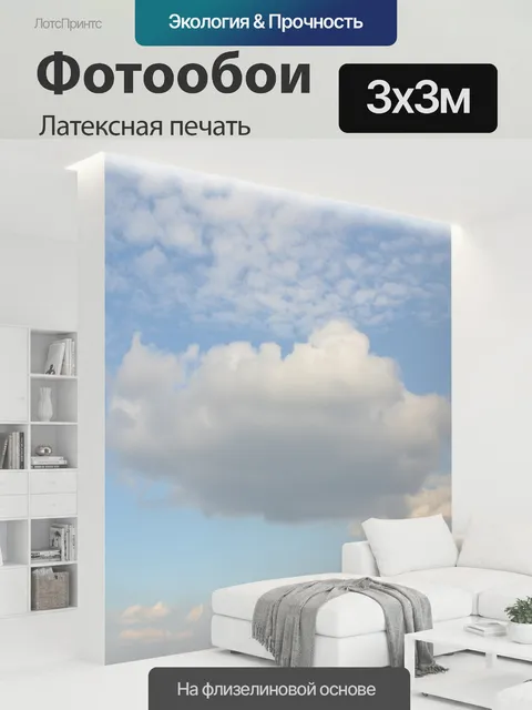 300 × 300 см · Латексная печать