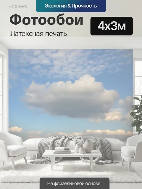 400 × 300 см · Латексная печать