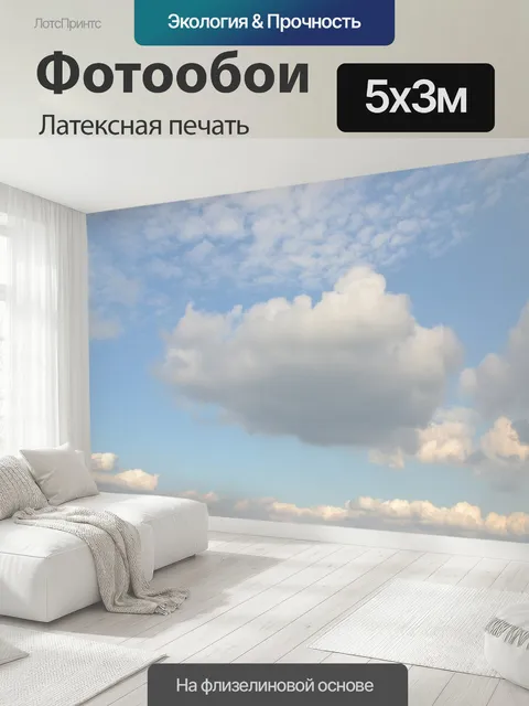 500 × 300 см · Латексная печать