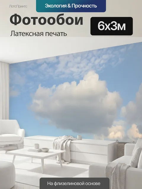 600 × 300 см · Латексная печать
