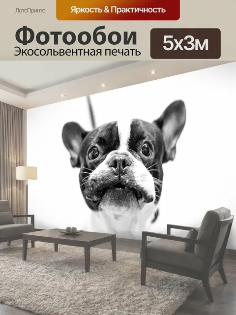 Фотообои Собака, французский бульдог, бульдог