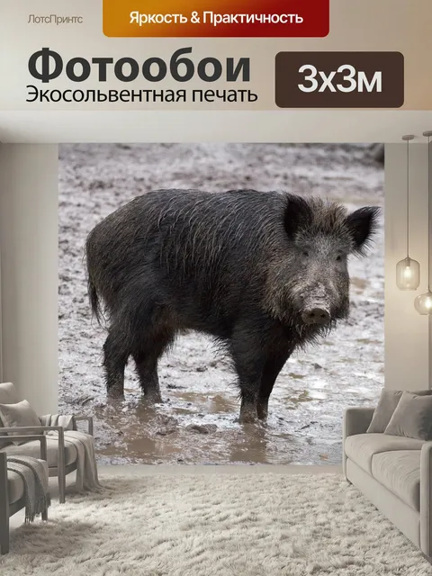 Фотообои Дикий, дикие кабаны, лес
