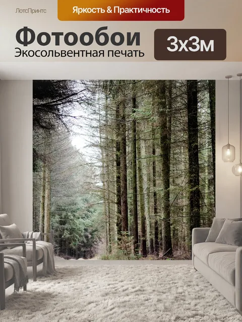 Фотообои Дорожка, древесина, лес