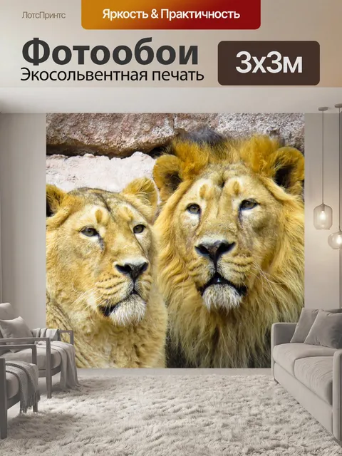 Фотообои Лев, сплоченность, партнер