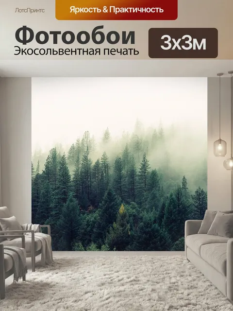 Фотообои Елей, туман, лес