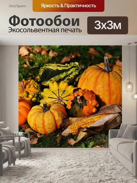 Фотообои Тыквы, декоративные тыквы, природа