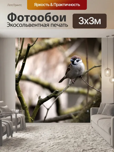 Фотообои Птица, дикая природа, воробей