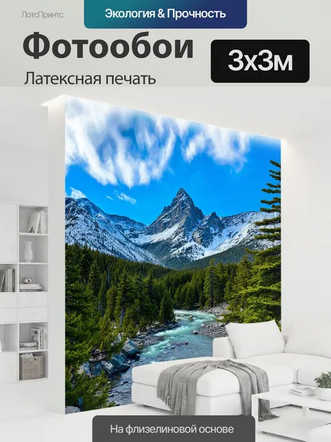 300 × 300 см · Латексная печать