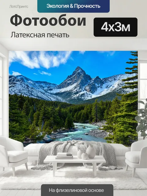 400 × 300 см · Латексная печать
