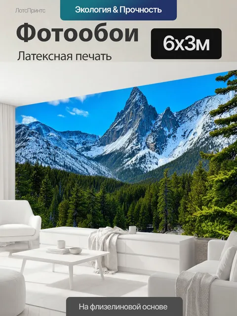 600 × 300 см · Латексная печать
