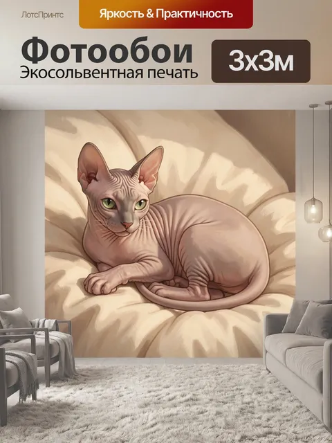 Фотообои Лысая кошка на мягком фоне