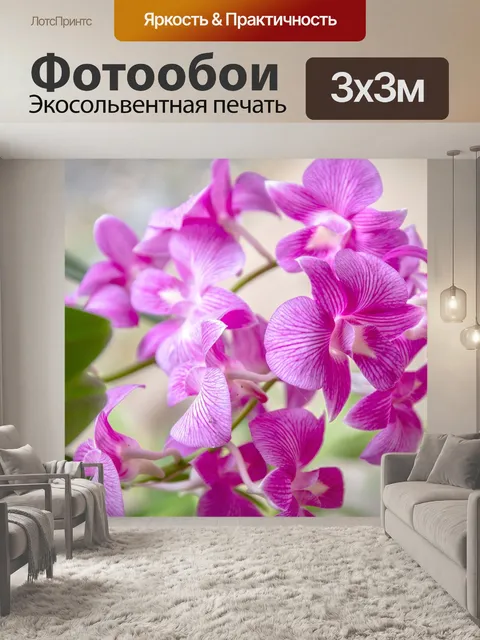 Фотообои Орхидея, розовая орхидея, розовый