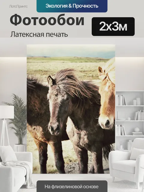 200 × 300 см · Латексная печать
