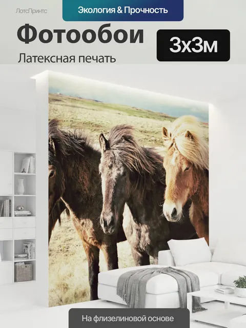 300 × 300 см · Латексная печать
