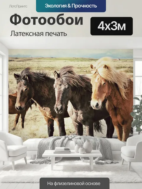 400 × 300 см · Латексная печать