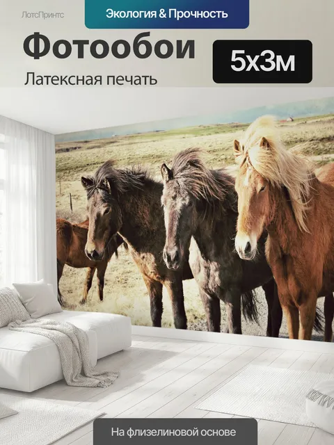 500 × 300 см · Латексная печать