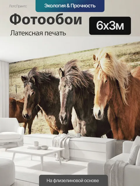 600 × 300 см · Латексная печать