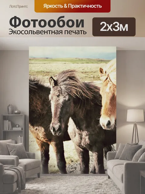 200 × 300 см · Экосольвентная печать