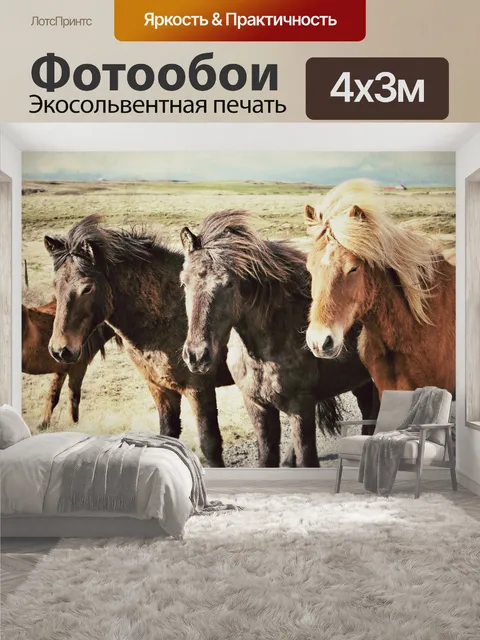 400 × 300 см · Экосольвентная печать