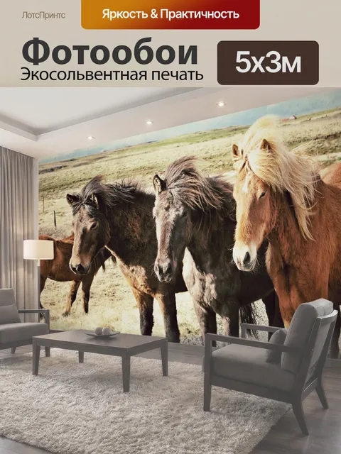 500 × 300 см · Экосольвентная печать