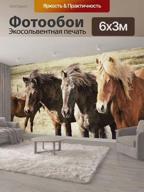 600 × 300 см · Экосольвентная печать