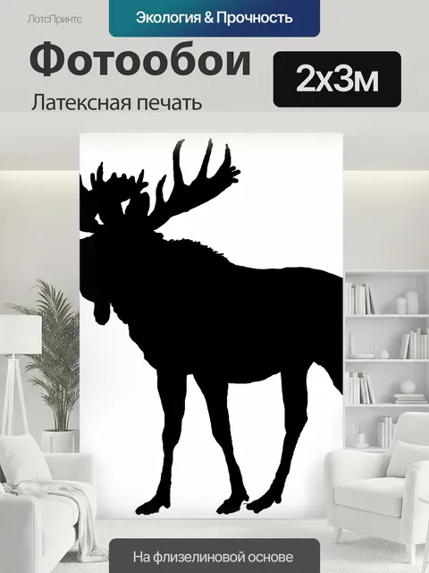 200 × 300 см · Латексная печать