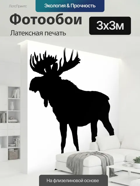 300 × 300 см · Латексная печать
