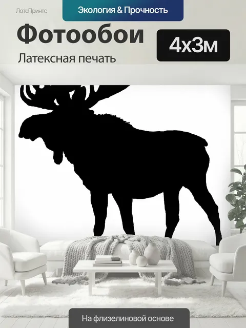 400 × 300 см · Латексная печать