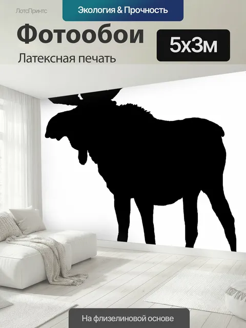 500 × 300 см · Латексная печать