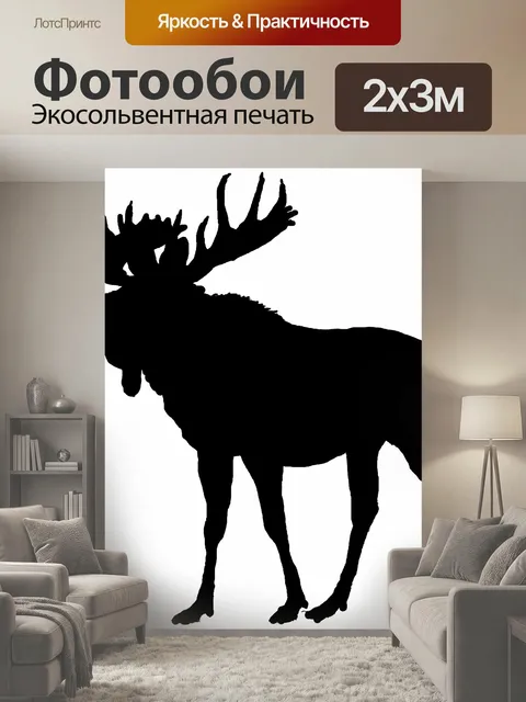 200 × 300 см · Экосольвентная печать