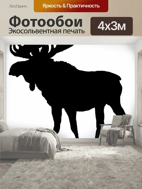 400 × 300 см · Экосольвентная печать