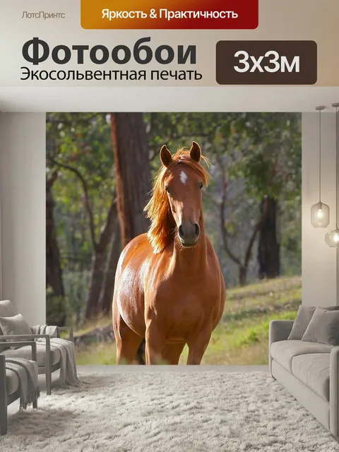Фотообои Лошадь, стелла, животное