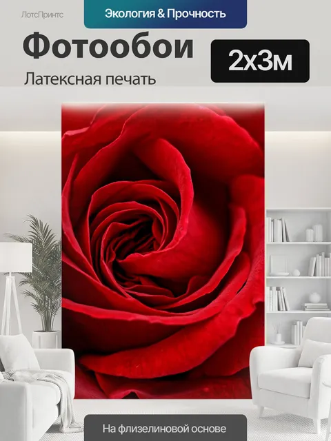 200 × 300 см · Латексная печать