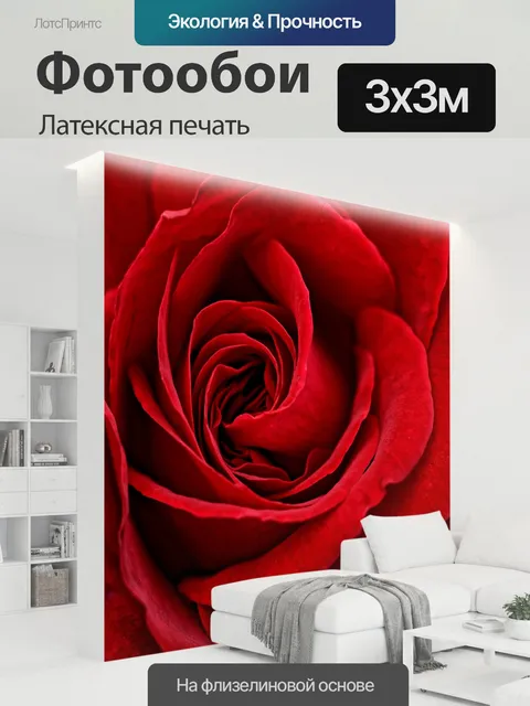 300 × 300 см · Латексная печать