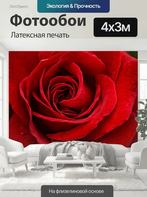 400 × 300 см · Латексная печать