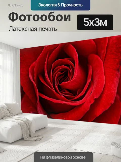 500 × 300 см · Латексная печать
