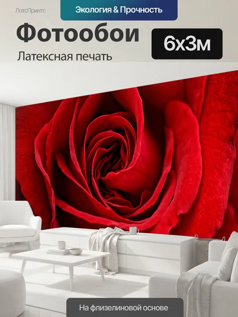 600 × 300 см · Латексная печать
