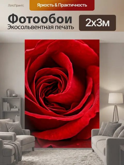 200 × 300 см · Экосольвентная печать