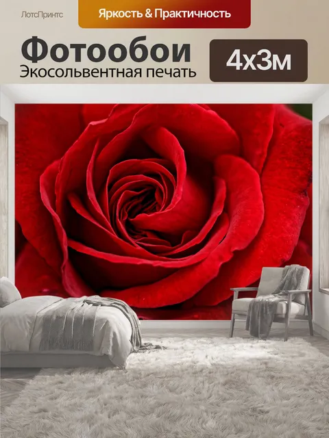 400 × 300 см · Экосольвентная печать