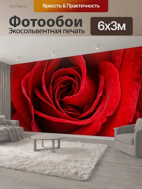 600 × 300 см · Экосольвентная печать