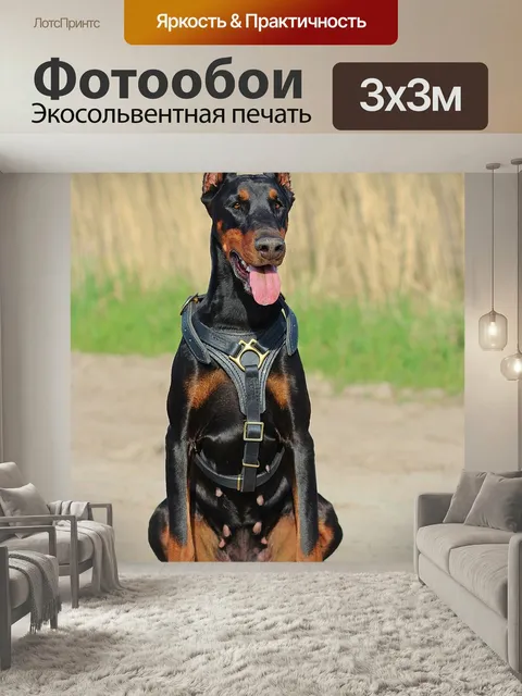 Фотообои Доберман, собака, язык