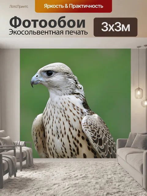Фотообои Сокол Портрет Сокола сокол птица живая природа раптор хищник взгромоздился обои стену фон всеобщее достояние …