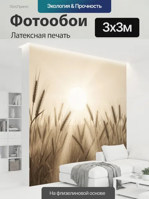 300 × 300 см · Латексная печать